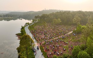 Xử l&yacute; vụ xe c&ocirc;ng n&ocirc;ng đổ r&aacute;c thải ra b&atilde;i biển Hải Tiến g&acirc;y &ocirc; nhiễm m&ocirc;i trường - Ảnh 4.