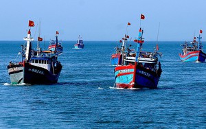 Nghề lưới v&acirc;y r&uacute;t ch&igrave; ở L&acirc;m Đồng: Tr&uacute;ng đ&agrave;n c&aacute;, cả t&agrave;u c&ugrave;ng phấn khởi - Ảnh 3.