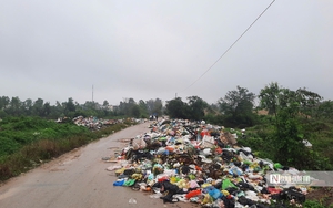 Xử l&yacute; vụ xe c&ocirc;ng n&ocirc;ng đổ r&aacute;c thải ra b&atilde;i biển Hải Tiến g&acirc;y &ocirc; nhiễm m&ocirc;i trường - Ảnh 3.