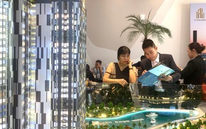 Hải Ph&ograve;ng: Thu hồi hơn 2.600 m2 đất của doanh nghiệp do vi phạm Luật Đất đai - Ảnh 4.