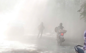 Hải Ph&ograve;ng ph&ecirc; duyệt nh&agrave; đầu tư dự &aacute;n nh&agrave; m&aacute;y xử l&yacute; chất thải quy m&ocirc; hơn 13ha - Ảnh 3.