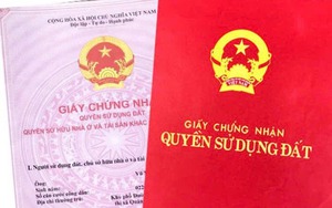 Bảo hiểm xã hội thông báo quan trọng đến người hưởng trợ cấp thất nghiệp - Ảnh 3.