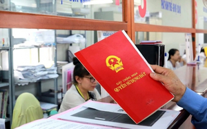 Hải Phòng chấp thuận dự án nhà ở xã hội gần 1.000 căn hộ- Ảnh 3.