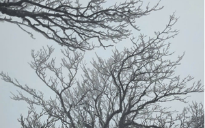 Miền Bắc sắp đón đợt không khí lạnh cường độ mạnh, trời rét đậm - Ảnh 2.