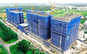 Thủ tướng chỉ đạo tháo gỡ vướng mắc khi triển khai Nghị định 46 về an toàn thực phẩm - Ảnh 4.