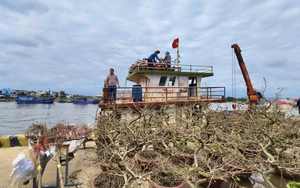 Sinh vi&ecirc;n, lao động trẻ được săn đ&oacute;n dịp Tết: Lương tăng vọt nhưng bẫy tuyển dụng cũng r&igrave;nh rập - Ảnh 3.