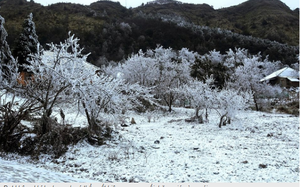 Tin gi&oacute; m&ugrave;a Đ&ocirc;ng Bắc mới nhất: Miền Bắc sắp đ&oacute;n đợt r&eacute;t đậm dưới 3 độ C, nguy cơ xảy ra băng gi&aacute; - Ảnh 2.