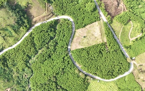 S&acirc;n bay T&acirc;n Sơn Nhất v&agrave; Nội B&agrave;i &ldquo;gồng m&igrave;nh&rdquo; đ&oacute;n lượng kh&aacute;ch tăng vọt dịp Tết B&iacute;nh Ngọ 2026 - Ảnh 3.