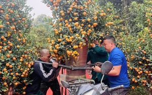 Ch&iacute;nh thức khai mạc Kh&ocirc;ng gian trưng b&agrave;y, livestream &ldquo;Sức sống h&agrave;ng Việt&rdquo; - Ảnh 12.