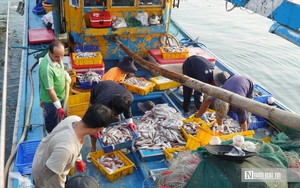 Tr&uacute;ng số độc đắc 10 triệu USD, người phụ nữ rơi v&agrave;o chuỗi ng&agrave;y bi kịch k&eacute;o d&agrave;i 1 thập kỷ - Ảnh 2.