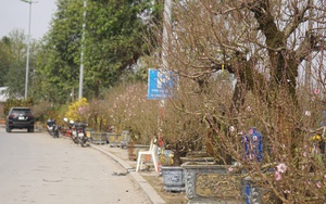 Phủ Na - điểm hẹn tâm linh xứ Thanh được trang hoàng rực rỡ, sẵn sàng đón hàng vạn khách trẩy hội  - Ảnh 11.