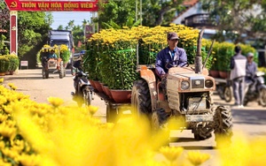 Ngắm linh vật ngựa d&aacute;t v&agrave;ng, kh&aacute;t vọng bứt ph&aacute; của Quảng Ng&atilde;i- Ảnh 15.