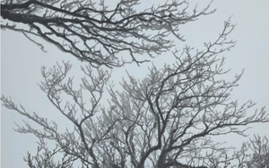 Kh&ocirc;ng kh&iacute; lạnh cực mạnh bao phủ miền Bắc, nhiệt độ giảm s&acirc;u, trời r&eacute;t buốt đến khi n&agrave;o? - Ảnh 2.