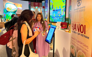 Để kh&aacute;ch du lịch trốn lại nước ngo&agrave;i bị phạt tới 40 triệu đồng - Ảnh 3.