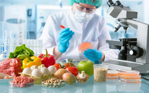 Bộ Y tế kiểm tra đột xuất việc trực cấp cứu, kh&aacute;m, chữa bệnh dịp Tết - Ảnh 2.