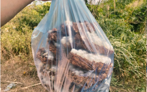 Con "c&ugrave;ng đống" xưa kh&ocirc;ng ai ng&oacute;, nay th&agrave;nh đặc sản T&acirc;y Bắc đắt đỏ, được d&acirc;n nhậu m&ecirc; t&iacute;t- Ảnh 8.