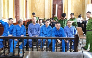 Điều tra vụ phát hiện gần 2 tấn ruốc gà, ruốc lợn không rõ nguồn gốc ở Thanh Hóa- Ảnh 4.