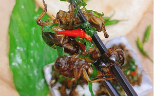 Con "c&ugrave;ng đống" xưa kh&ocirc;ng ai ng&oacute;, nay th&agrave;nh đặc sản T&acirc;y Bắc đắt đỏ, được d&acirc;n nhậu m&ecirc; t&iacute;t- Ảnh 9.