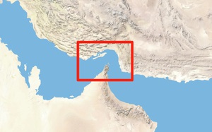 Hơn 200 chuy&ecirc;n gia qu&acirc;n sự Ukraine tới v&ugrave;ng Vịnh để đối ph&oacute; UAV Iran - Ảnh 3.