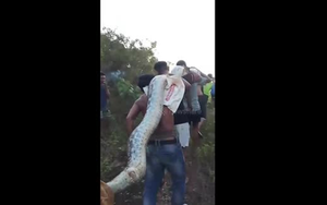 Nh&igrave;n l&ecirc;n trần nh&agrave;, người đ&agrave;n &ocirc;ng sốc nặng thấy cảnh tượng "nổi da g&agrave;" - Ảnh 2.