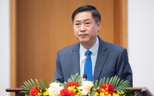 B&agrave; B&ugrave;i Thị Minh Ho&agrave;i tr&uacute;ng cử Đại biểu Quốc hội kh&oacute;a XVI - Ảnh 4.