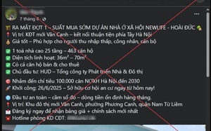 Vượt đ&egrave;n đỏ, t&agrave;i xế &ocirc; t&ocirc; bị phạt 19 triệu từ phản &aacute;nh tr&ecirc;n Vnetraffic - Ảnh 3.
