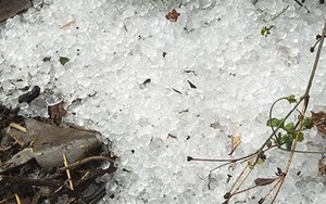 Dự b&aacute;o thời tiết 24/3: Bắc Bộ nguy cơ d&ocirc;ng lốc, mưa lớn, Nam Bộ tiếp tục nắng n&oacute;ng gay gắt... - Ảnh 2.