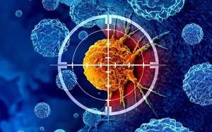 Rakuten Viber v&agrave; Happydemics tối ưu hiểu biết người d&ugrave;ng - Ảnh 2.