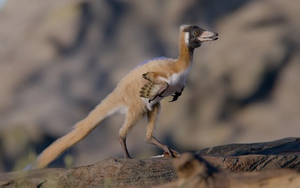 Sập bẫy t&igrave;nh &ldquo;tổng t&agrave;i AI", cụ b&agrave; U90 viết thư, đ&ograve;i cưới, chi tiền thật cho t&igrave;nh ảo - Ảnh 4.