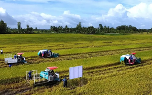 Đổi mới quy định c&ocirc;ng nhận n&ocirc;ng th&ocirc;n mới giai đoạn 2026-2030
- Ảnh 3.