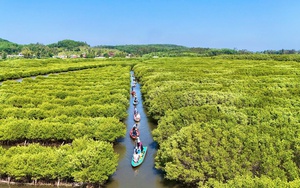 Chạy đua thu hoạch tỏi tr&ecirc;n đảo L&yacute; Sơn, ng&agrave;y thu tiền triệu- Ảnh 8.