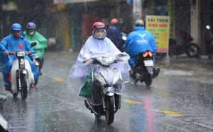 Bộ Y tế y&ecirc;u cầu khẩn trương điều tra vụ 54 người bị ngộ độc sau ăn b&aacute;nh m&igrave; ở Tp.HCM - Ảnh 3.