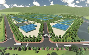 Thanh tra ph&aacute;t hiện nhiều vi phạm về quản l&yacute; đất đai ở Tp.Cần Thơ - Ảnh 2.