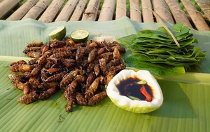 Con đặc sản xưa nhiều người &ldquo;sợ xanh mặt&rdquo;, nay lại th&agrave;nh đặc sản T&acirc;y Bắc tiền triệu, d&acirc;n nhậu m&ecirc; t&iacute;t săn l&ugrave;ng - Ảnh 8.