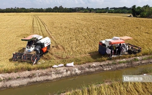 Việt Nam là một trong 20 thị trường chiến lược của doanh nghiệp Italy - Ảnh 3.