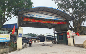 Vụ 300 tấn thịt lợn bệnh tuồn v&agrave;o trường học, Bộ Y tế chỉ đạo n&oacute;ng- Ảnh 3.