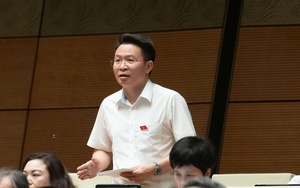 Gi&aacute; nh&agrave; gấp 30 lần thu nhập, ĐBQH đề nghị siết t&iacute;n dụng bất động sản đầu cơ- Ảnh 3.