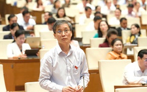 Thứ trưởng Nguyễn Thanh Ngọc: Hoàn thiện Luật Trách nhiệm bồi thường của Nhà nước theo hướng “thực chất, khả thi”- Ảnh 4.