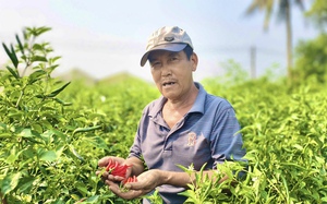 Quảng Ng&atilde;i: Đường li&ecirc;n x&atilde; xuống cấp nhiều năm, cản trở lưu th&ocirc;ng v&agrave; sản xuất- Ảnh 7.