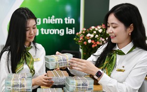 Thanh tra Ngân hàng Nhà nước: Hoạt động cấp tín dụng của 1 chi nhánh ngân hàng tiềm ẩn nhiều rủi ro - Ảnh 3.