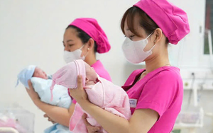 Đề xuất n&acirc;ng ngưỡng miễn thuế hộ kinh doanh l&ecirc;n 1 tỷ đồng/năm- Ảnh 2.