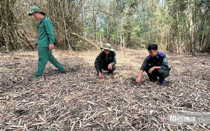 Lo&agrave;i chim qu&yacute; trong S&aacute;ch đỏ bất ngờ tụ đ&agrave;n h&agrave;ng trăm con ở H&agrave; Tĩnh - Ảnh 4.