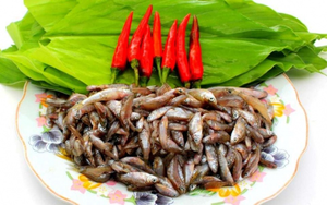 Loại quả qu&ecirc; nh&igrave;n lạ mắt mọc bờ r&agrave;o nay "l&ecirc;n đời" đặc sản, gi&aacute; 120.000đ/kg- Ảnh 5.