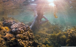 Mưa d&ocirc;ng phủ k&iacute;n miền Trung, miền Bắc sắp đ&oacute;n thời tiết xấu mới đ&uacute;ng dịp nghỉ lễ  - Ảnh 2.