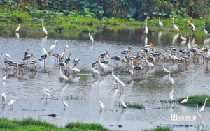 Mưa d&ocirc;ng phủ k&iacute;n miền Bắc trước kỳ nghỉ lễ 30/4, nguy cơ lốc s&eacute;t k&egrave;m mưa đ&aacute; - Ảnh 2.