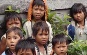 Lao động ng&agrave;y nay - Ảnh 3.