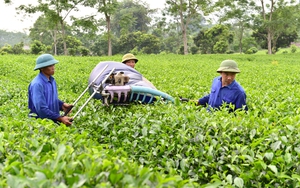 Dự thảo nghị định về khuyến n&ocirc;ng mới gắn với thực địa v&agrave; n&ocirc;ng d&acirc;n, tr&aacute;nh h&igrave;nh thức- Ảnh 3.
