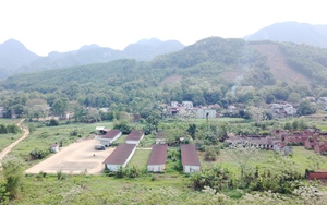 Thanh H&oacute;a loay hoay b&agrave;i to&aacute;n bi&ecirc;n chế cho nh&acirc;n vi&ecirc;n trường học- Ảnh 4.