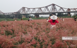 Du lịch dịp lễ: Sức h&uacute;t của h&agrave;nh tr&igrave;nh ngắn ng&agrave;y tại l&agrave;ng cổ Đường L&acirc;m - Ảnh 10.