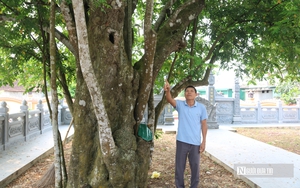 &Ocirc; t&ocirc; bốc ch&aacute;y ng&ugrave;n ngụt giữa đường, t&agrave;i xế mắc kẹt được giải cứu trong gang tấc - Ảnh 5.